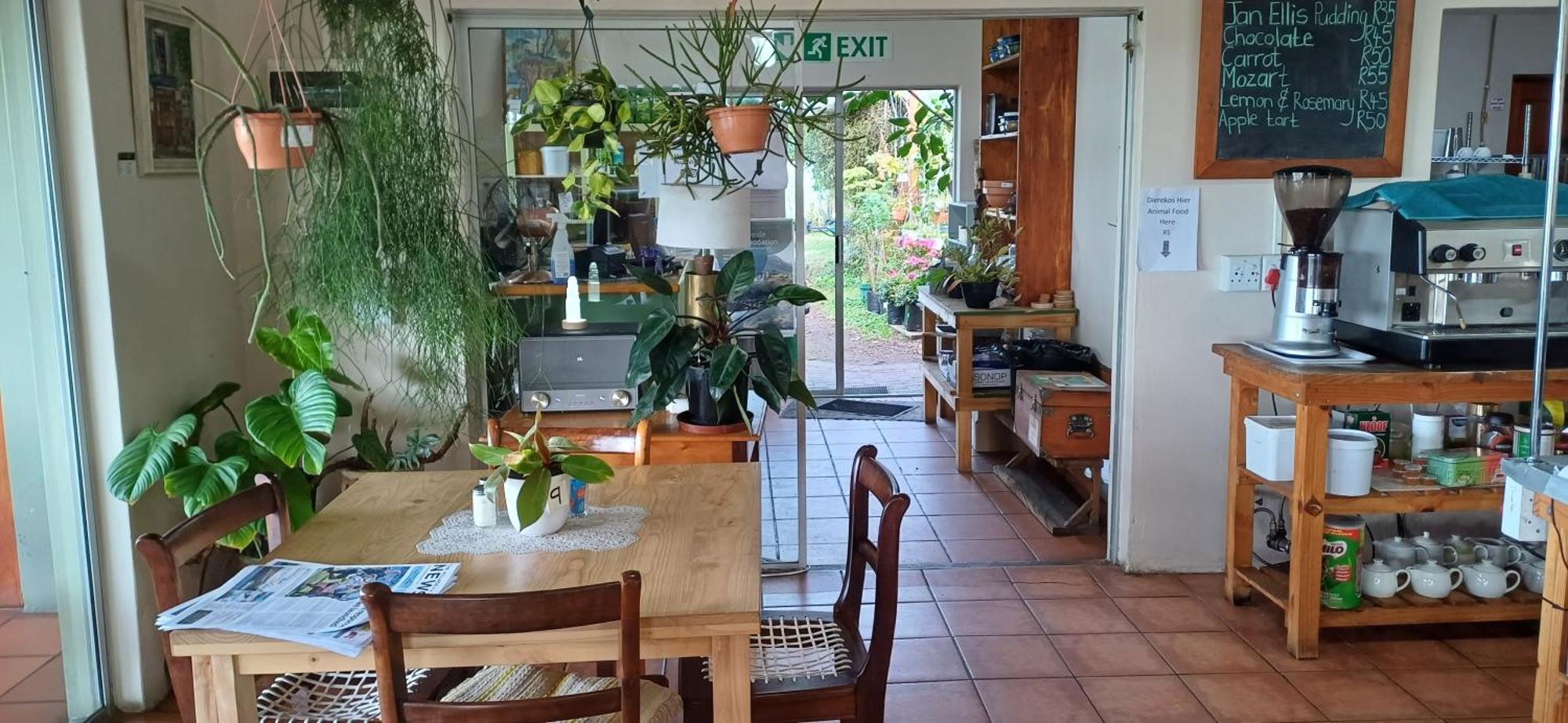 Blombos Self-Catering House Villa Franskraalstrand Ngoại thất bức ảnh