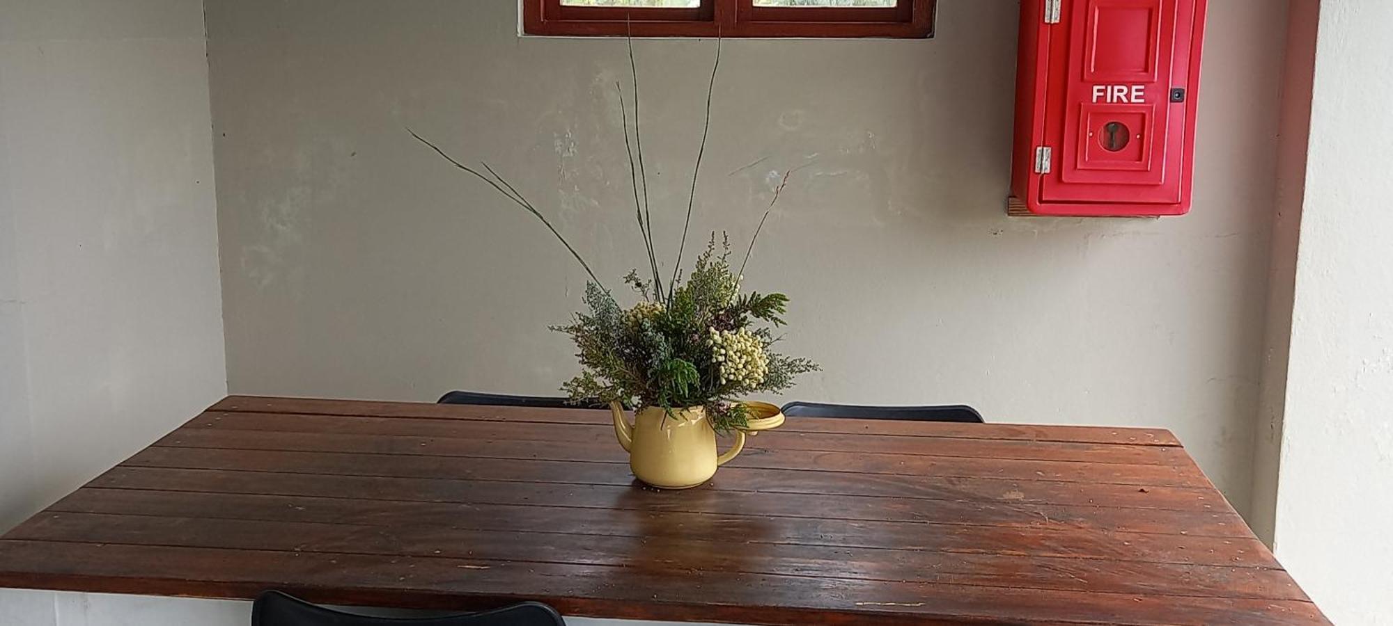 Blombos Self-Catering House Villa Franskraalstrand Ngoại thất bức ảnh