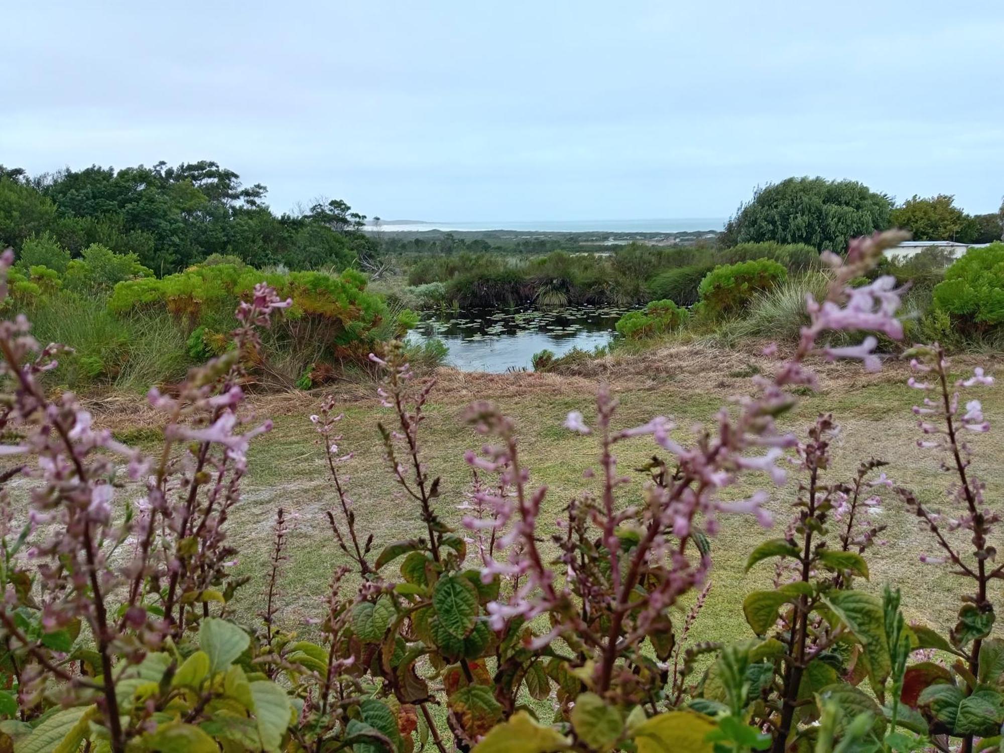 Blombos Self-Catering House Villa Franskraalstrand Ngoại thất bức ảnh